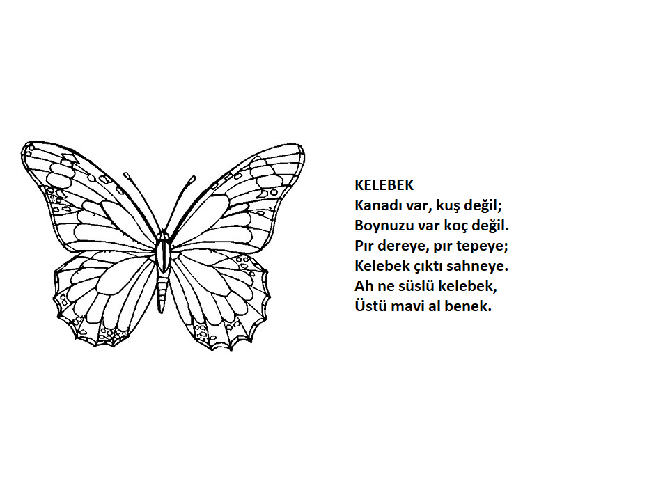 Hayvanlar Tekerleme Kitabı by Dönüştürmek Güzeldir - Ourboox.com