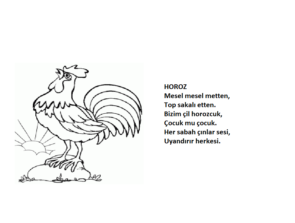 Hayvanlar Tekerleme Kitabı by Dönüştürmek Güzeldir - Ourboox.com