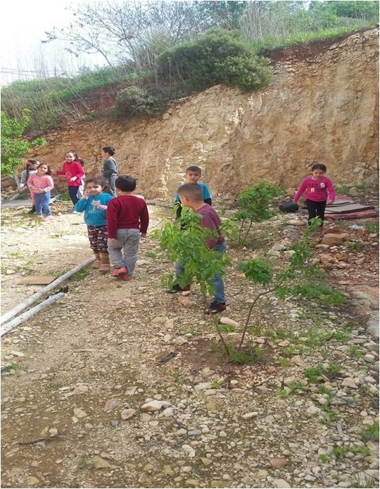 وحدة تعليمية في مجال العلوم by nora - Illustrated by وحدة الاشجار - Ourboox.com