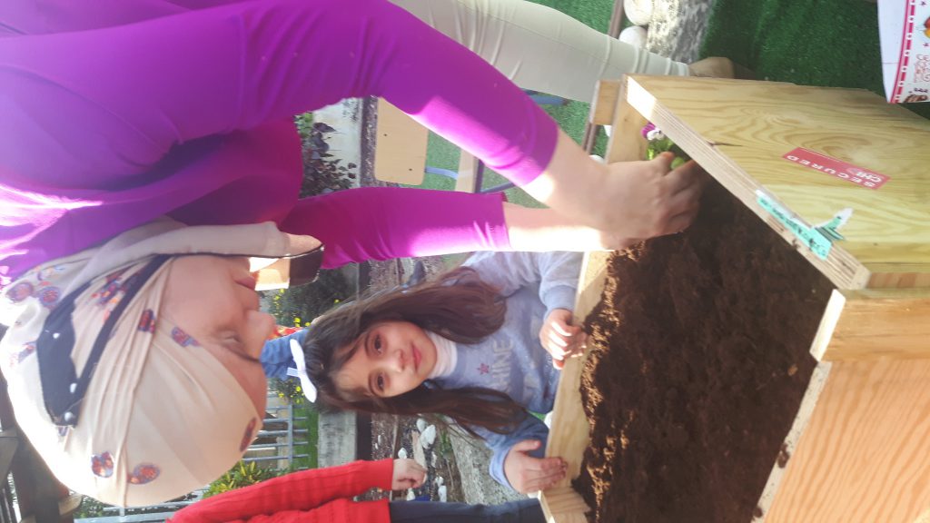 الزراعه by Nahed - Ourboox.com