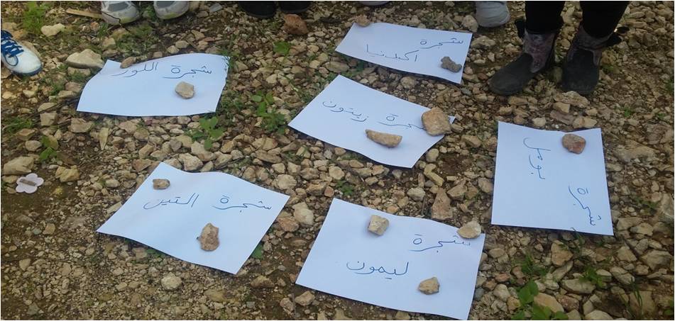 وحدة تعليمية في مجال العلوم by nora - Illustrated by وحدة الاشجار - Ourboox.com