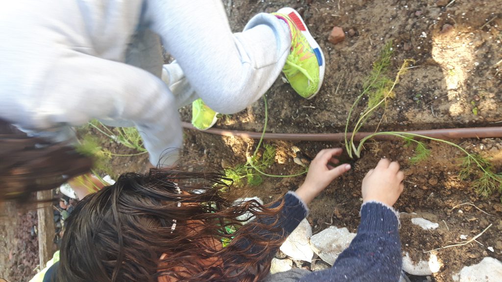 الزراعه by Nahed - Ourboox.com