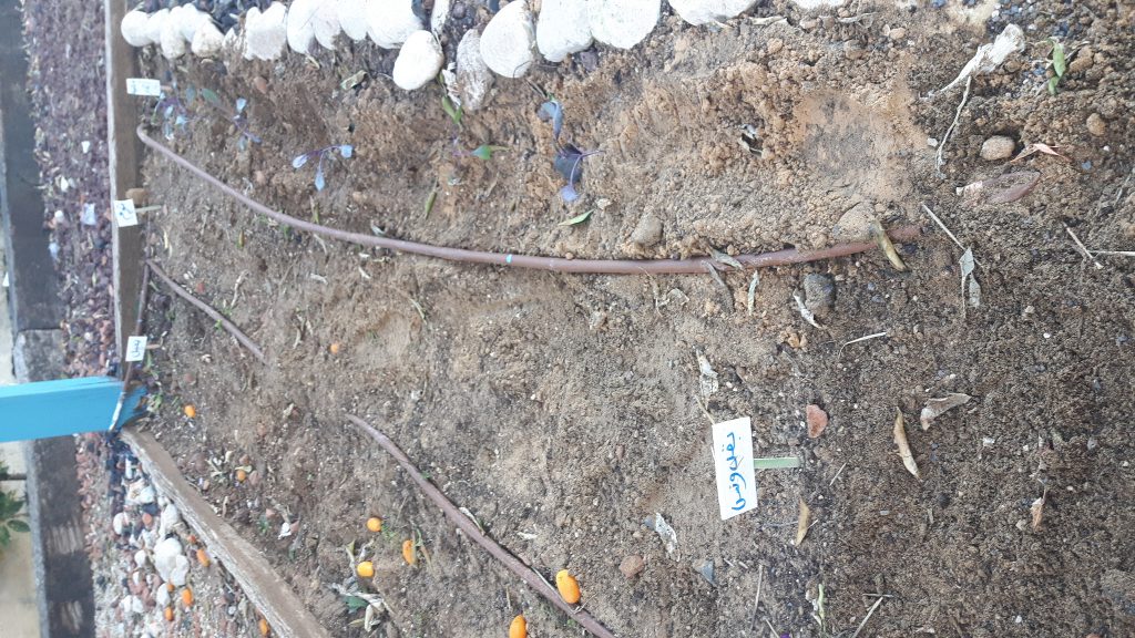 الزراعه by Nahed - Ourboox.com