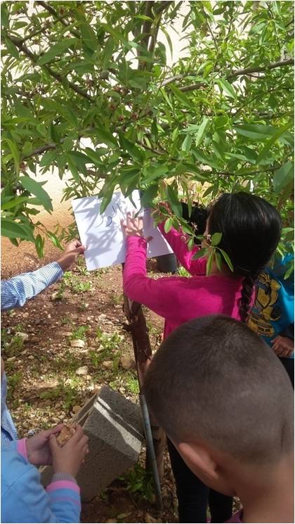 وحدة تعليمية في مجال العلوم by nora - Illustrated by وحدة الاشجار - Ourboox.com