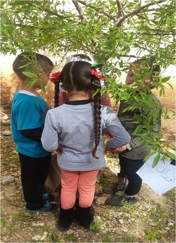 وحدة تعليمية في مجال العلوم by nora - Illustrated by وحدة الاشجار - Ourboox.com