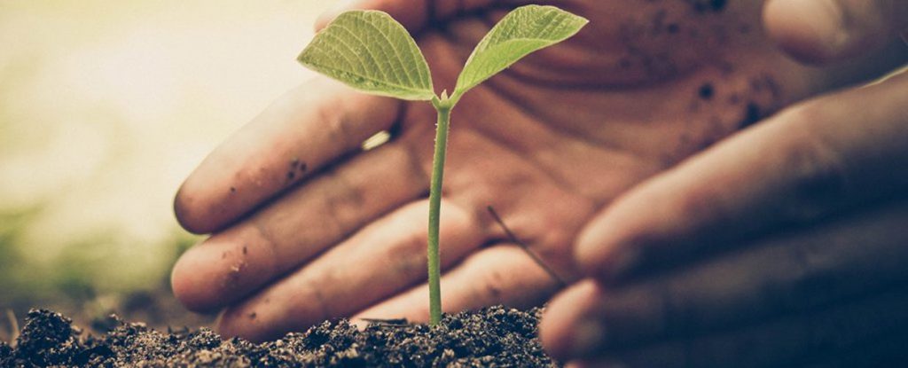 Климатични промени by Ioanna Popova - Ourboox.com