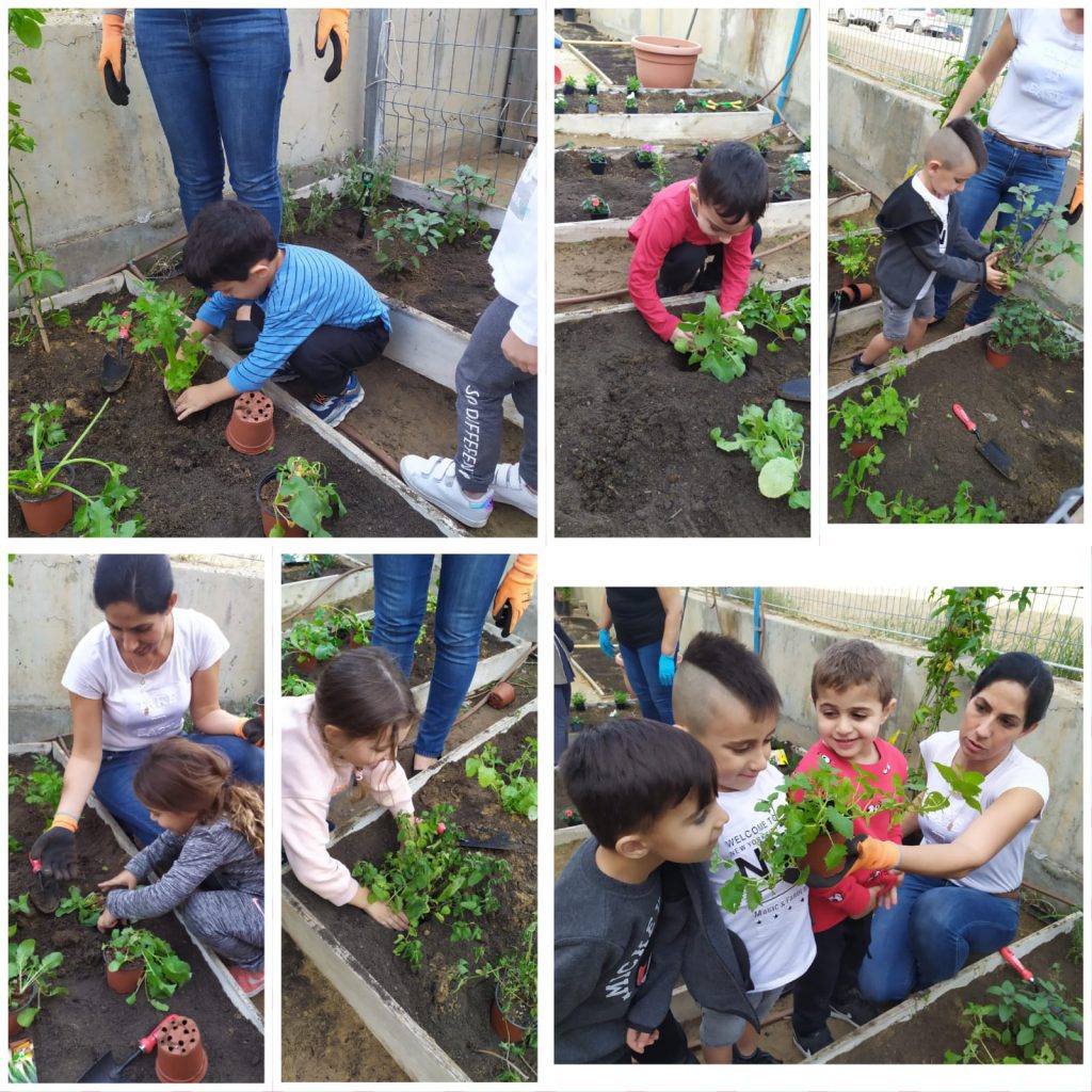 גן סלע by einat nahmias - Ourboox.com