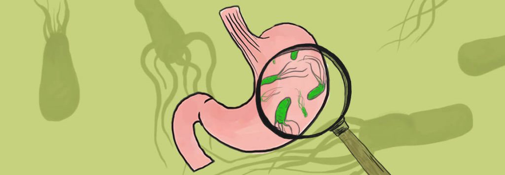 חיידק- הליקובקטר פילורי by meitar marudi - Illustrated by מיתר מרודי - Ourboox.com