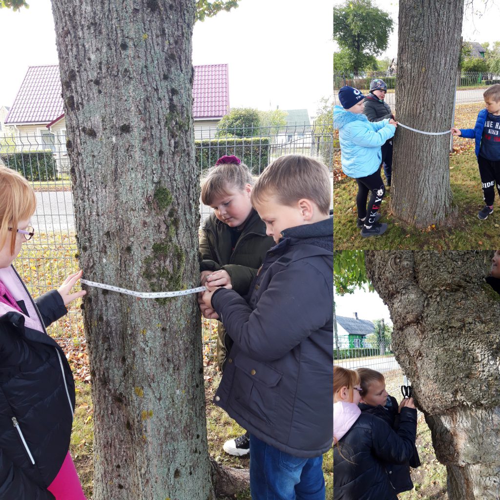 Mes – STEAMuko draugai by Neringa Kapociene - Ourboox.com