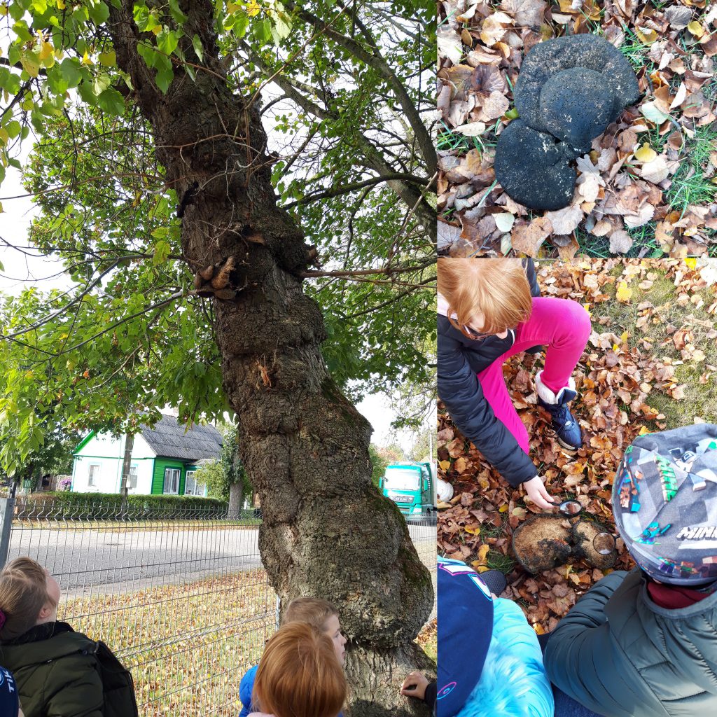 Mes – STEAMuko draugai by Neringa Kapociene - Ourboox.com