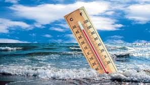 Топ 5 предложения за ограничаване на климатичните промени