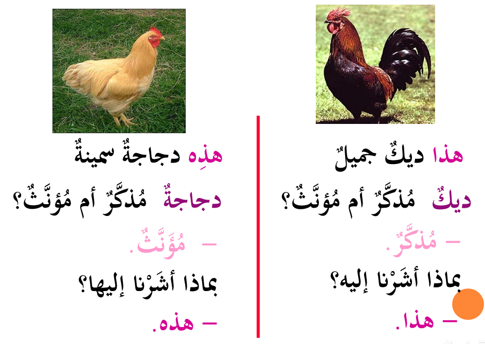 أسماء الاشارة by rawanka - Ourboox.com