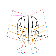 Стрижка «Ассоль» by Polina Dancenko - Illustrated by Поліна Данченко - Ourboox.com
