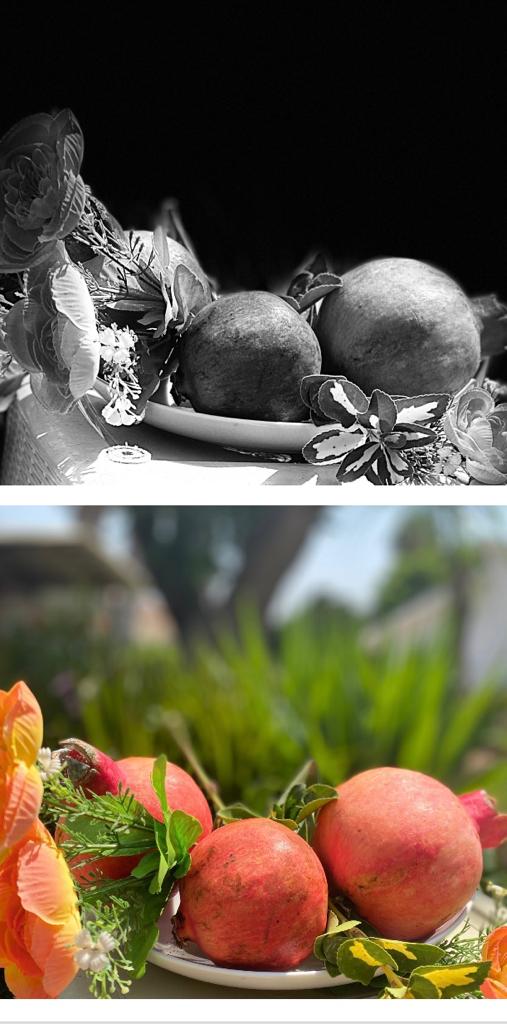 עבודות אמנות אוריה אלהרר ט1 by oriya elharar - Ourboox.com