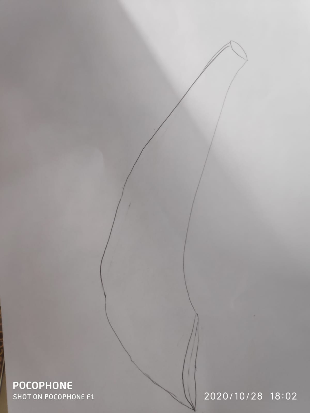 עבודת אומנות מחצית א’-תמר ינון by tamar - Illustrated by תמר ינון - Ourboox.com