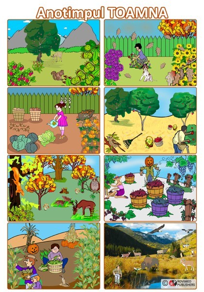 ZÂNĂ BRUMĂRIE LA DEAL ȘI CÂMPIE by Ionela Meiroșu - Ourboox.com