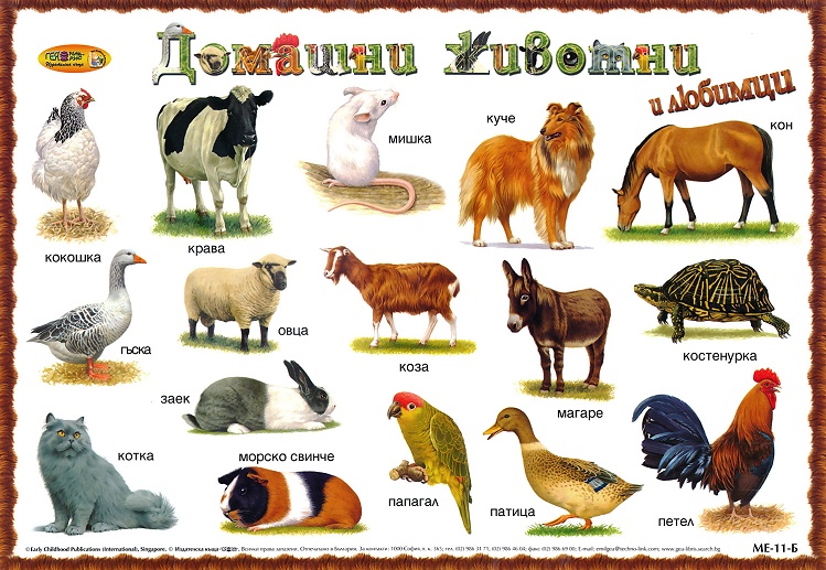 КАРТИНЕН РЕЧНИК by Dimitrinka Mollova - Illustrated by Mollova - Ourboox.com