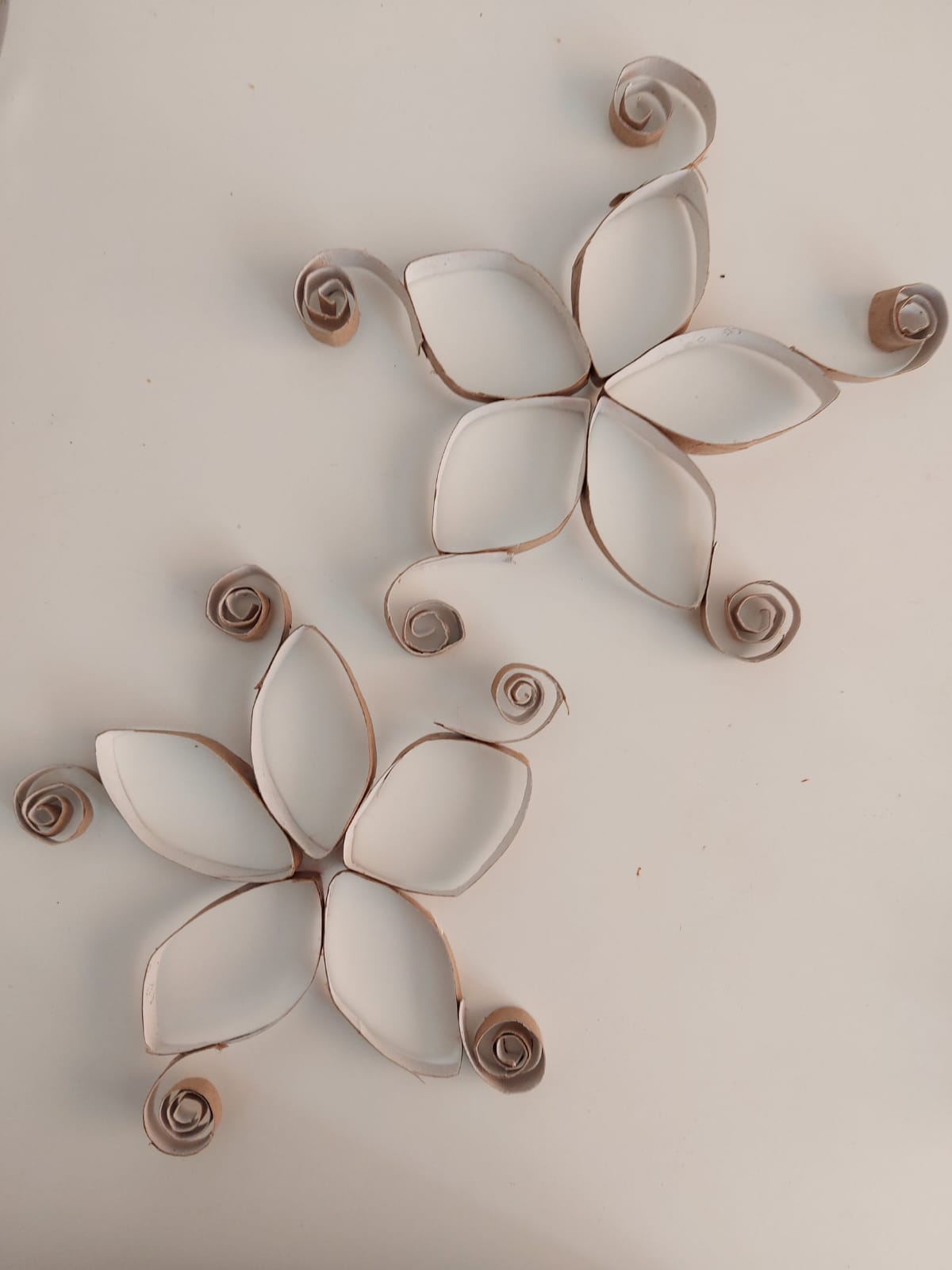 עבודות אומנות מחצית א”- ליבנת בן חמו by livnat ben hamo - Illustrated by ליבנת בן חמו  - Ourboox.com