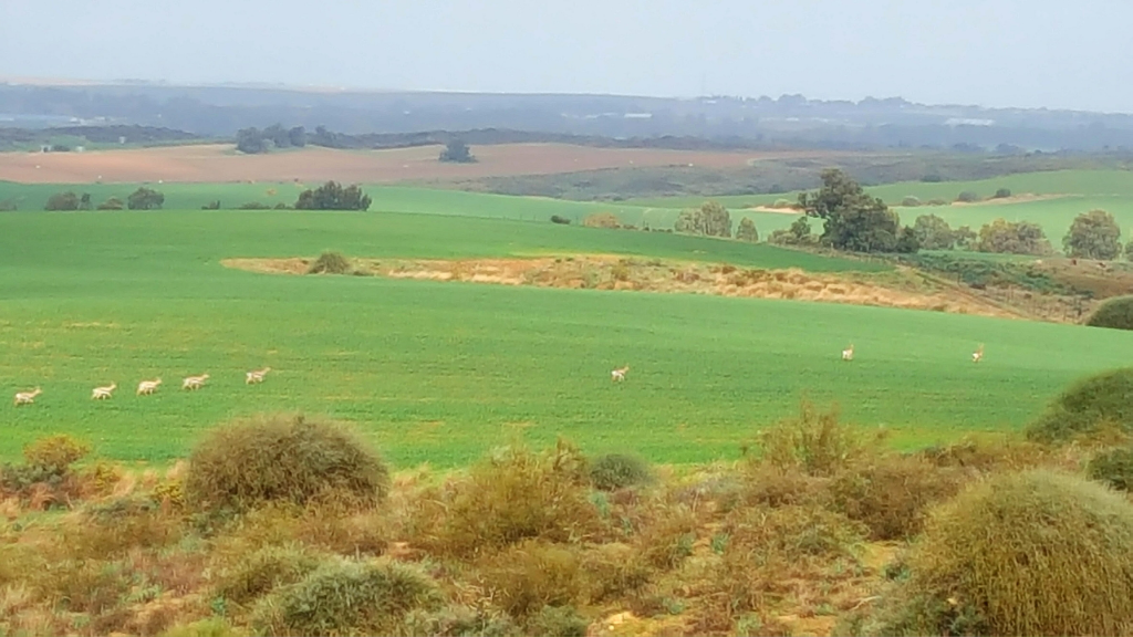 My story by Ronya - Ourboox.com