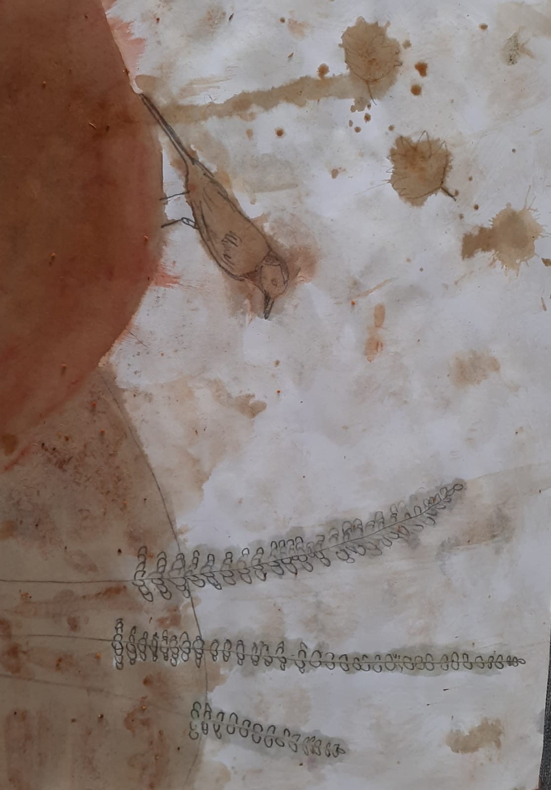 עבודות אומנות מחצית א’- אורה יסלזון by ora - Ourboox.com