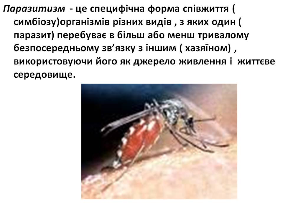 Т 2 Процеси життєдіяльності тварин by Pidgorodetska Olena - Ourboox.com