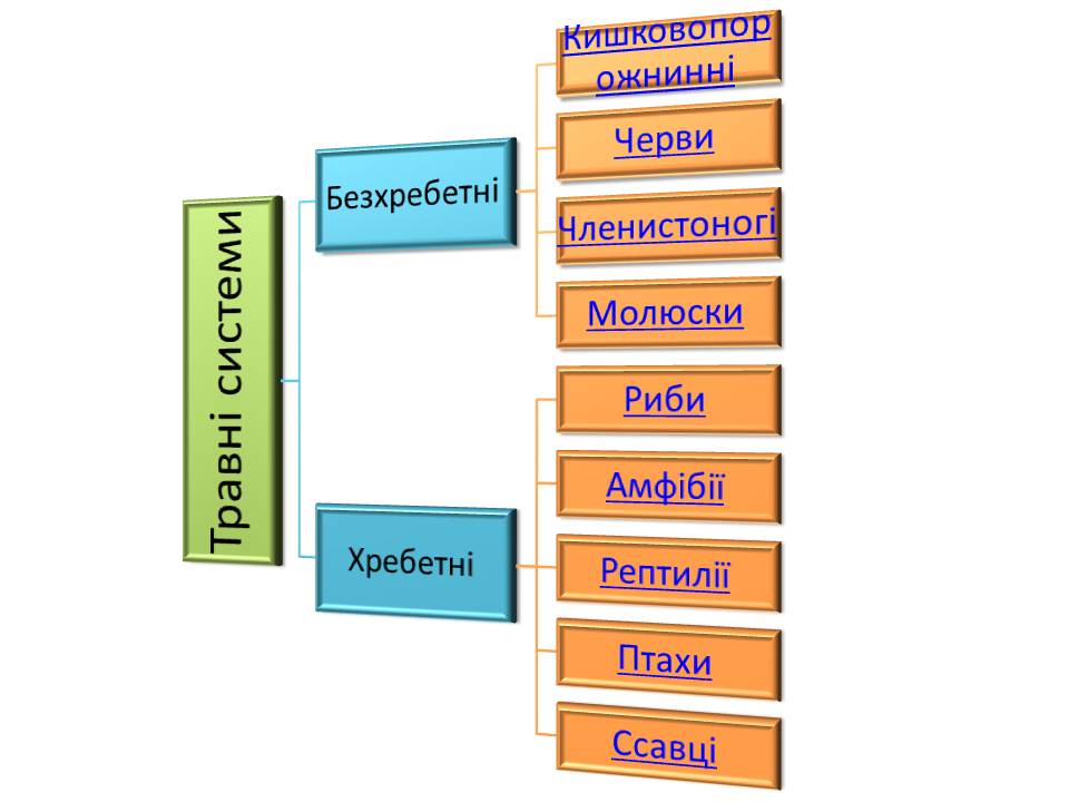 Т 2 Процеси життєдіяльності тварин by Pidgorodetska Olena - Ourboox.com