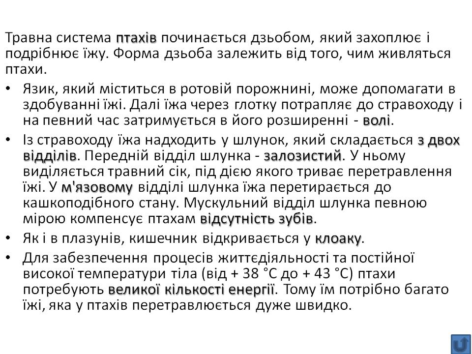 Т 2 Процеси життєдіяльності тварин by Pidgorodetska Olena - Ourboox.com