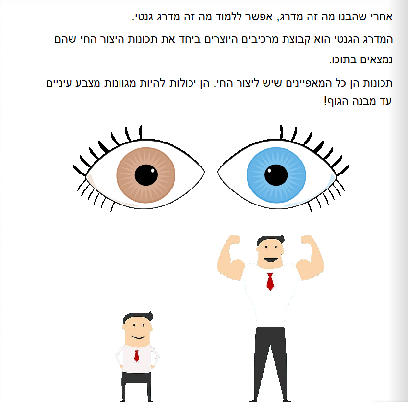 מסע אל המדרג הגנטי: המדרג הגנטי ומרכיביו by yali rosenfeld - Ourboox.com