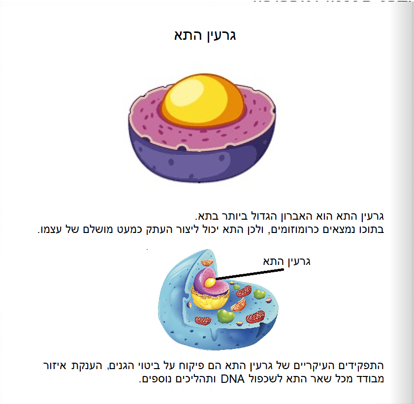 מסע אל המדרג הגנטי: המדרג הגנטי ומרכיביו by yali rosenfeld - Ourboox.com