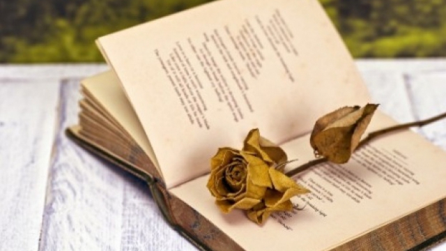 Елисавета Багряна-подготовка за матура by Aysun - Ourboox.com