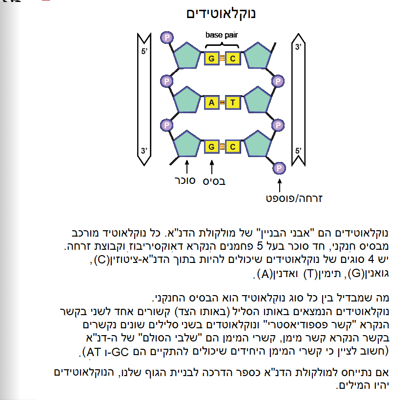 מסע אל המדרג הגנטי: המדרג הגנטי ומרכיביו by yali rosenfeld - Ourboox.com