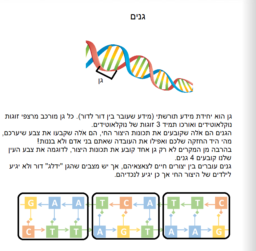 מסע אל המדרג הגנטי: המדרג הגנטי ומרכיביו by yali rosenfeld - Ourboox.com