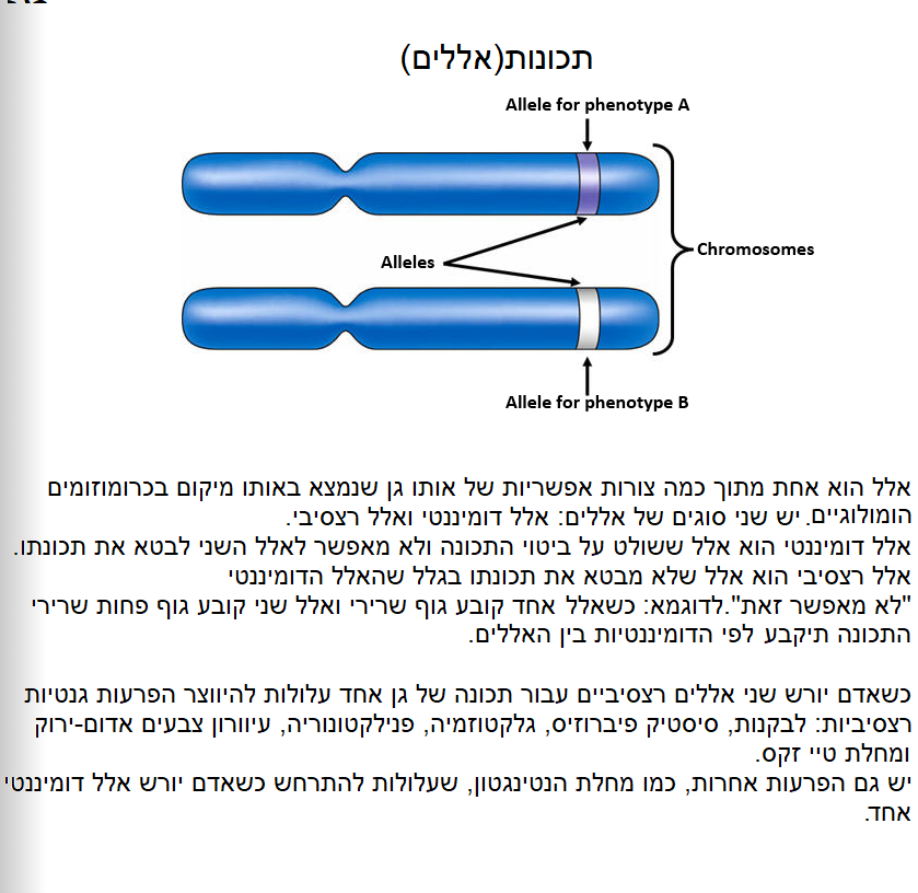 מסע אל המדרג הגנטי: המדרג הגנטי ומרכיביו by yali rosenfeld - Ourboox.com