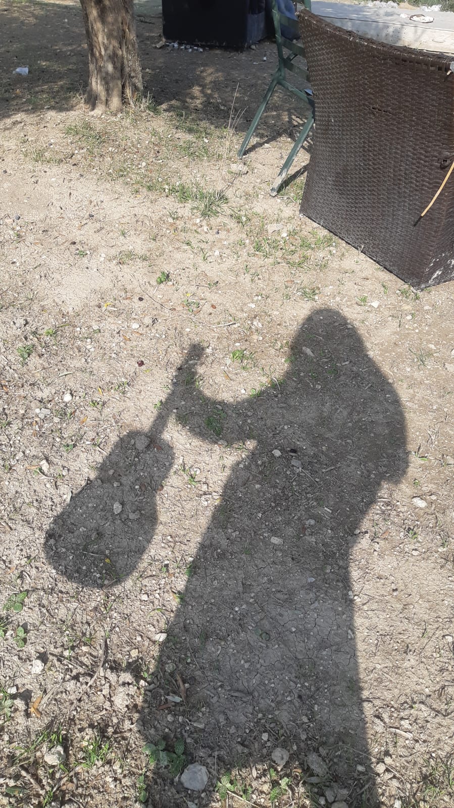 יצירות אומנות של מחצית א’- טליה דוד by talya david - Illustrated by טליה דוד - Ourboox.com