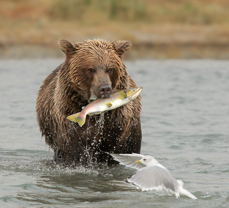 Знаеш ли, че баба Меца обича да похапва и рибка. Сама си я лови.