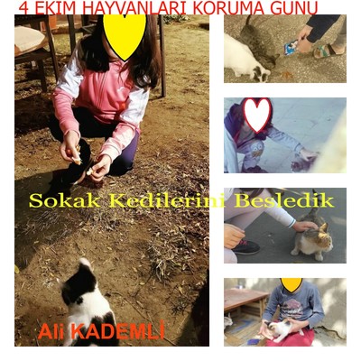 DÜNÜN ÇOCUKLARI BUGÜNÜN ÇOCUKLARINI ANLAMIYOR-ÖĞRENCİ AKTİVİTELERİ MİX by ŞENAY KILIÇ - Ourboox.com