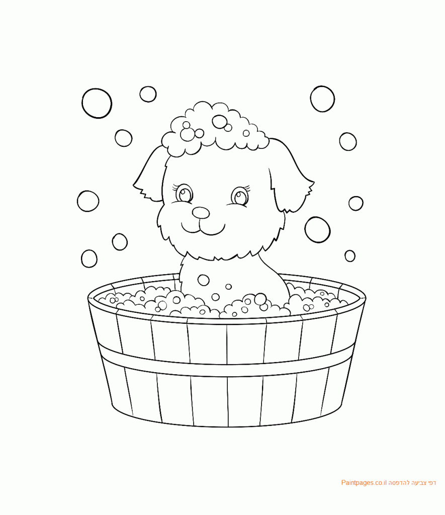 מתנת יום הולדת לגיל by atara - Illustrated by עטרה אילוז - Ourboox.com