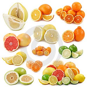 فصول السنة الأربعة by alaa joron - Illustrated by آلاء جرن & تامر كبها   - Ourboox.com