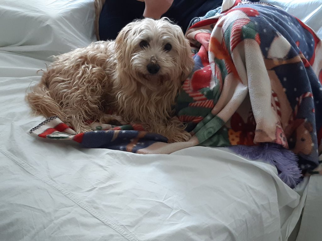 Eccoci qua a provare by Barbara - Illustrated by Barbara - Ourboox.com