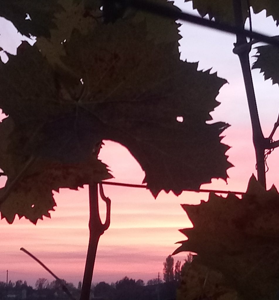 C’era una volta… by Elena fabbri - Illustrated by Elena - Ourboox.com