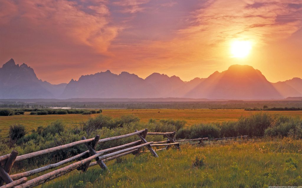 Scuola senza zaino Lido Estensi by Nadia Vitali - Illustrated by Nadia - Ourboox.com