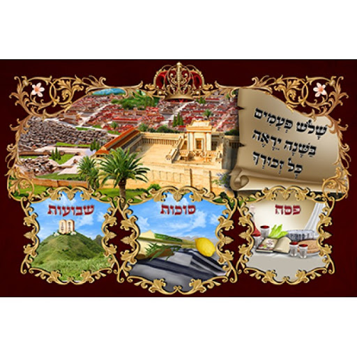 חג הפסח by shir shira homri - Ourboox.com