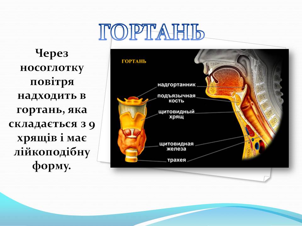Дихання by Pidgorodetska Olena - Ourboox.com