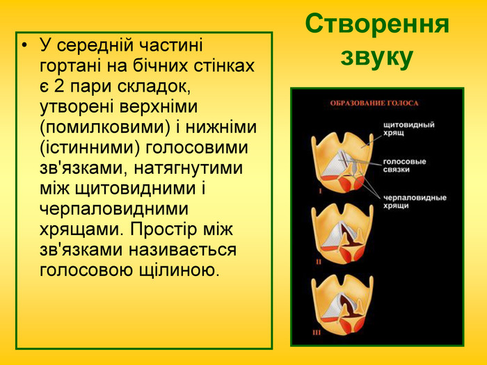 Дихання by Pidgorodetska Olena - Ourboox.com