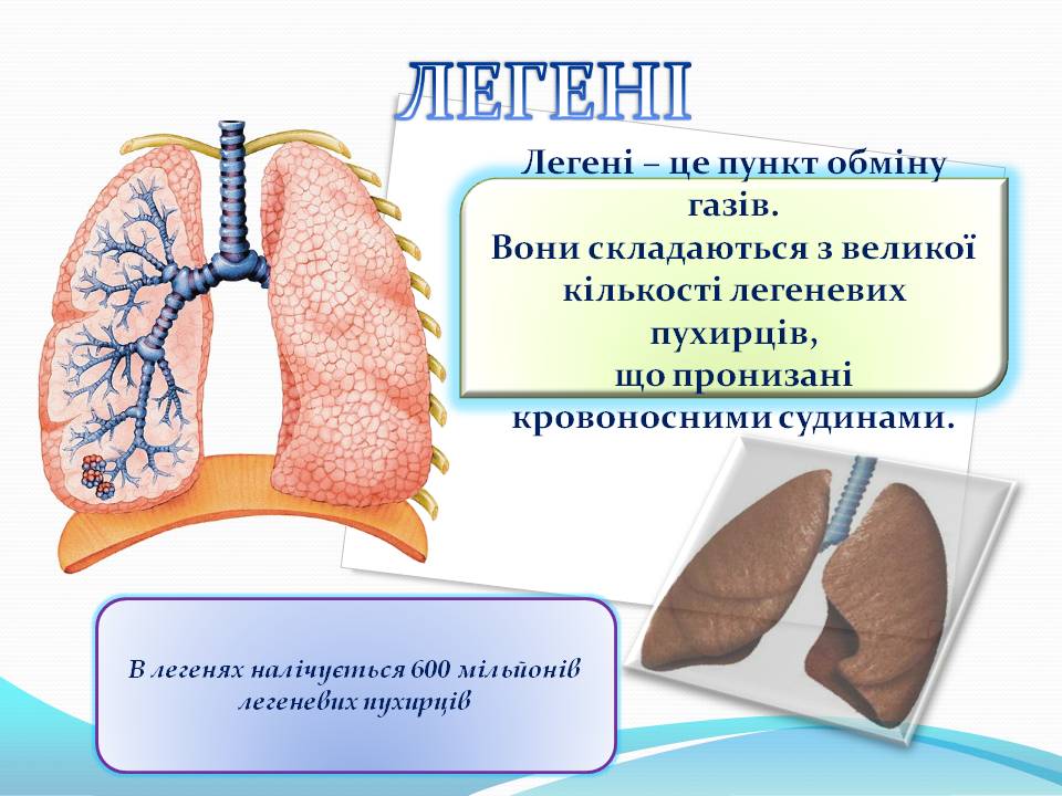 Дихання by Pidgorodetska Olena - Ourboox.com