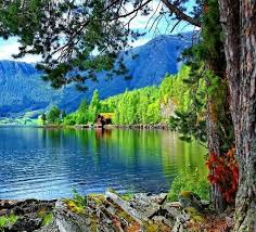 الطبيعة حياة by Lins Said - Ourboox.com