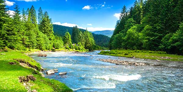 الطبيعة حياة by Lins Said - Ourboox.com