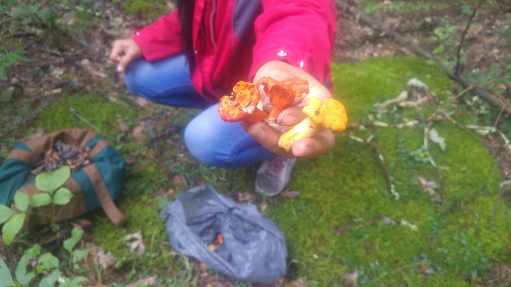 טיול קרוואן משפחתי by lisan oron - Ourboox.com