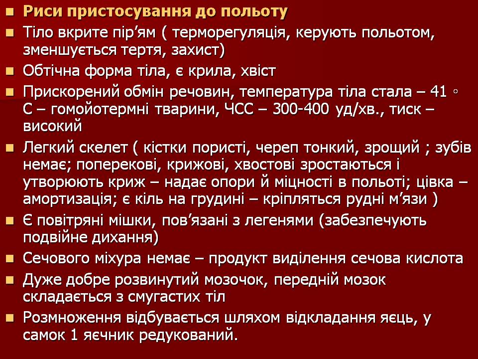 Птахи by Pidgorodetska Olena - Ourboox.com