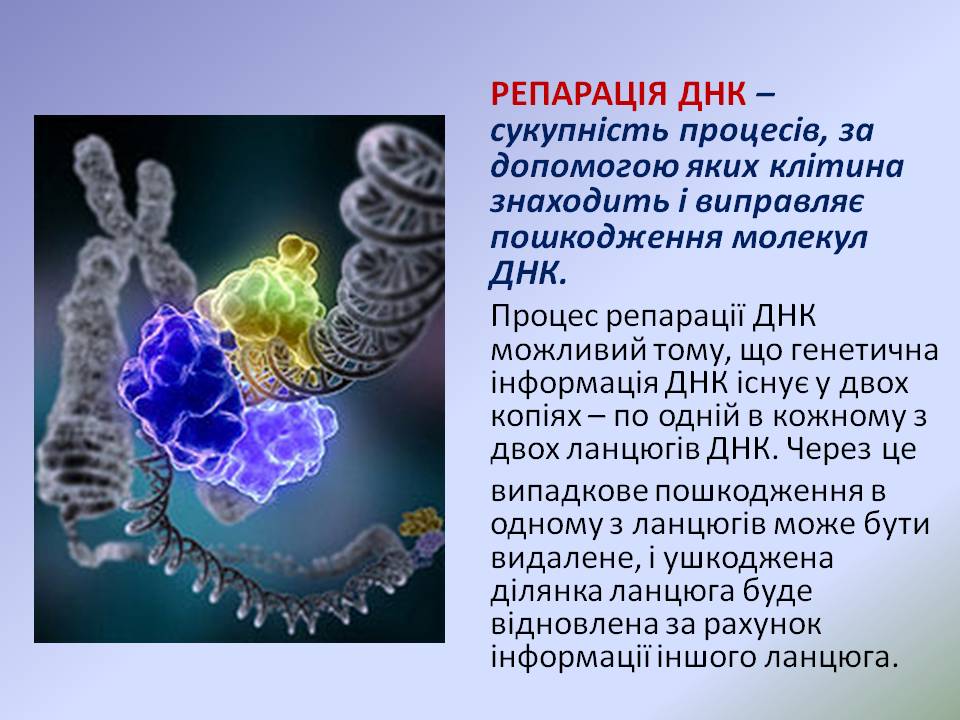 Репарація by Pidgorodetska Olena - Ourboox.com